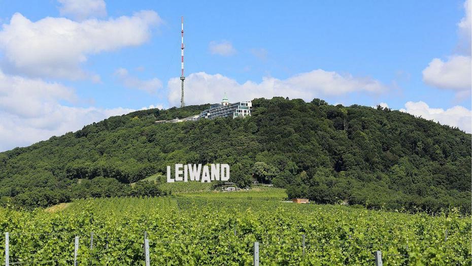 ﻿Hollywood in Wien / Projekt "Leiwand"
